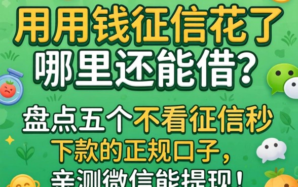 急用钱征信花了哪里还能借?盘点五个不看征信秒下款的正规口子,亲测微信能提现!