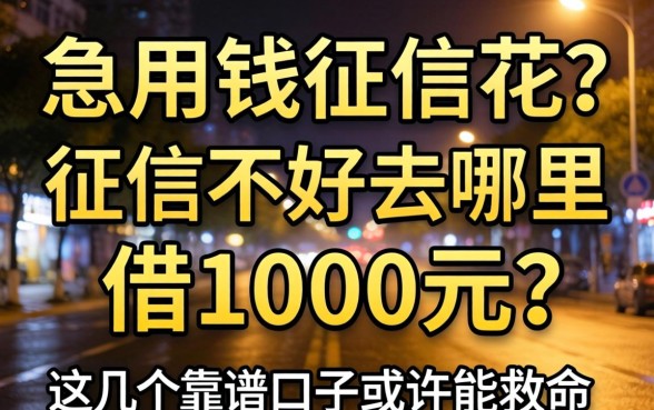深夜急用钱征信花？征信不好去哪里借1000元？这几个靠谱口子或许能救命