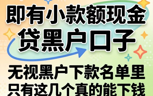 我试了所有小额现金贷款黑户口子，发现无视黑户下款名单里只有这几个真的能下钱