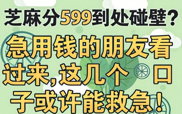 芝麻分599到处碰壁？急用钱的朋友看过来，这几个口子或许能救急！