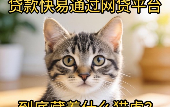 那些放款快易通过的网贷平台,到底藏着什么猫腻?