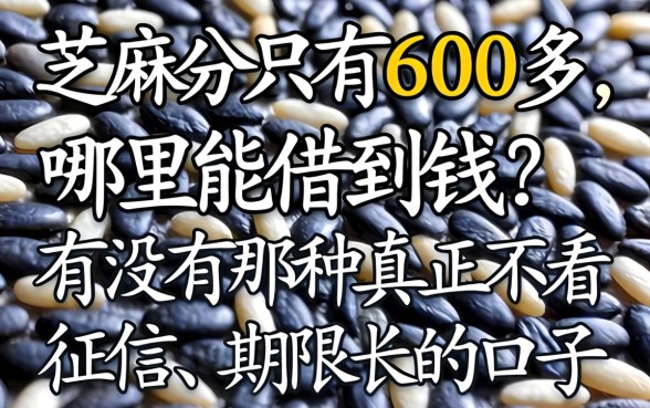 芝麻分只有600多，哪里能借到钱？有没有那种真正不看征信、期限长的口子？