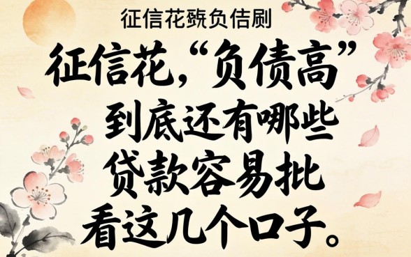 现在征信花、负债高，到底还有哪些贷款容易批？看这几个口子