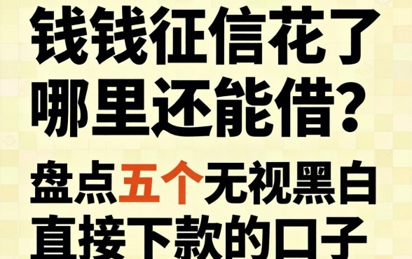 急需用钱征信花了哪里还能借？盘点五个无视黑白直接下款的口子