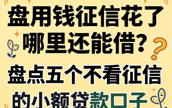 急用钱征信花了哪里还能借?盘点五个不看征信的小额贷款口子_2