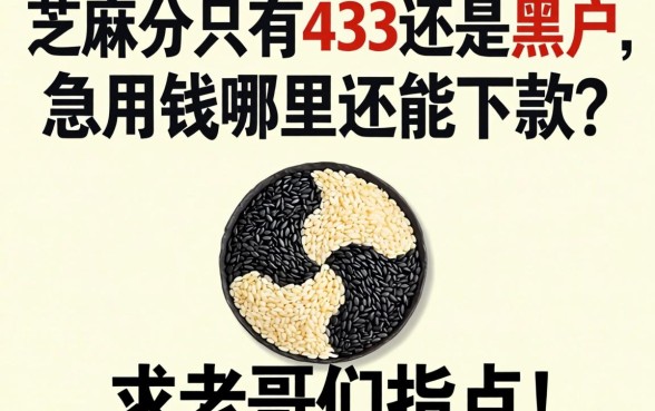 芝麻分只有433还是黑户,急用钱哪里还能下款?求老哥们指点!