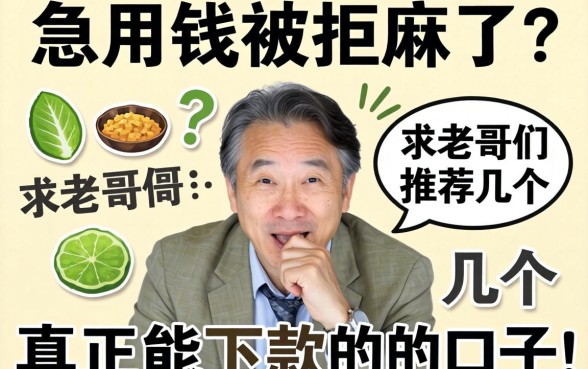急用钱被拒麻了？求老哥们推荐几个真正能下款的口子！