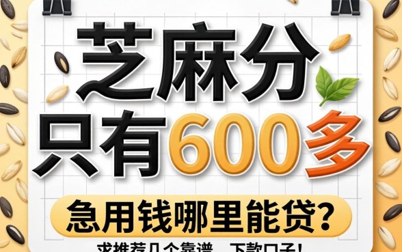 芝麻分只有600多，急用钱哪里能贷？求推荐几个靠谱的下款口子！