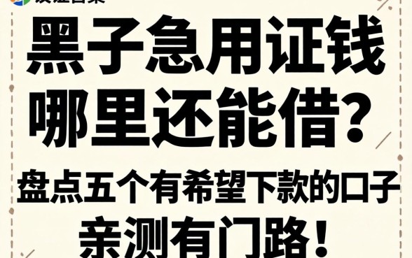 征信黑了急用钱哪里还能借？盘点五个有希望下款的口子，亲测有门路！