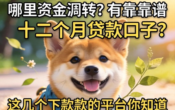 急需资金周转?哪里有靠谱的十二个月的贷款口子?这几个下款快的平台你知道吗?