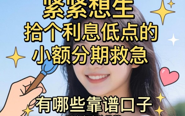 手头紧想找个利息低点的小额分期救急，有哪些靠谱口子推荐？