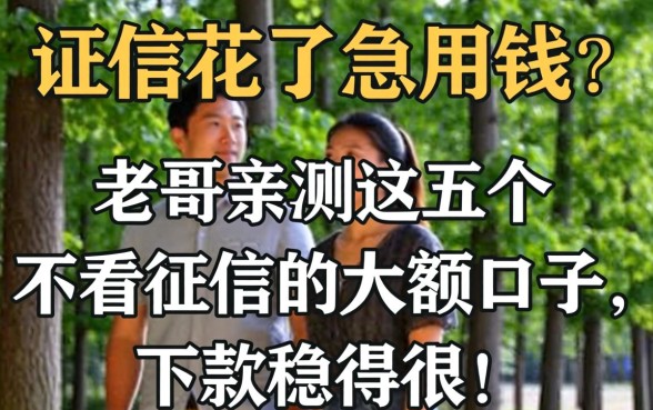 征信花了急用钱？老哥亲测这五个不看征信的大额口子，下款稳得很！