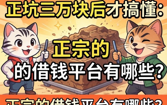 被坑三万块后才搞懂：正宗的借钱平台有哪些？