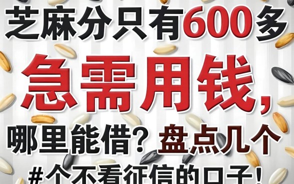 芝麻分只有600多，急需用钱哪里能借？盘点几个不看征信的口子！