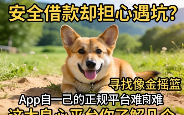 想要安心借款却担心遇坑?寻找像金摇篮app一样的正规平台难不难?这五大良心平台你了解几个?