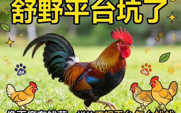 别被野鸡平台坑了，像百度有钱花一样的正规平台怎么找？