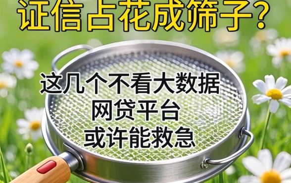 征信花成筛子?这几个不看大数据的网贷平台或许能救急