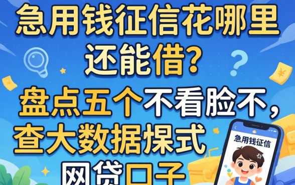 急用钱征信花哪里还能借？盘点五个不看脸不查大数据的网贷口子
