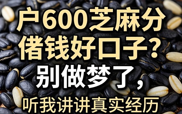 黑户600芝麻分借钱好口子?别做梦了,听我讲讲真实经历