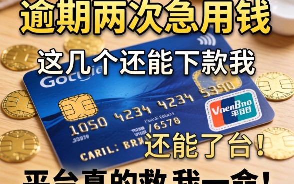 信用卡逾期两次急用钱,这几个还能下款的平台真的救了我一命!
