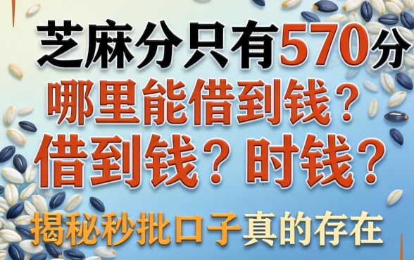 芝麻分只有570分哪里能借到钱？揭秘秒批口子真的存在吗？