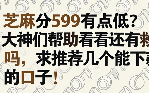 芝麻分599有点低?大神们帮忙看看还有救吗,求推荐几个能下款的口子!