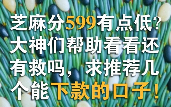 芝麻分599有点低?大神们帮忙看看还有救吗,求推荐几个能下款的口子!