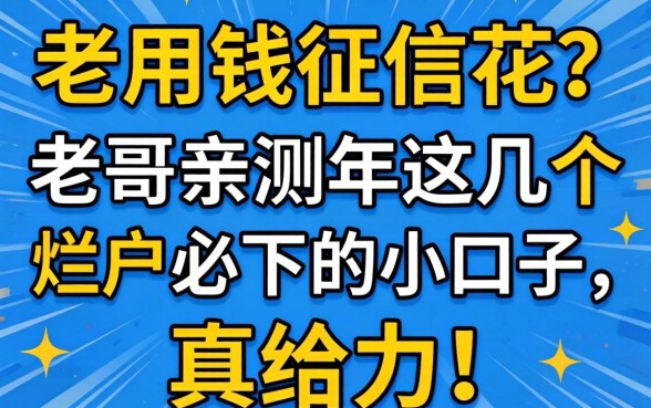 急用钱征信花?老哥亲测2026年这几个烂户必下的小口子,真给力!