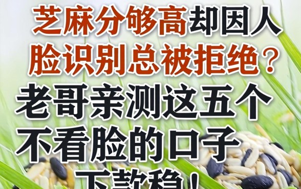 芝麻分够高却因人脸识别总被拒？老哥亲测这五个不看脸的口子，下款稳！