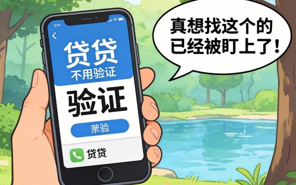 哪个小贷不用验证手机？说句难听的，真想找这个的已经被盯上了