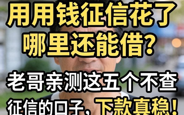 急用钱征信花了哪里还能借？老哥亲测这五个不查征信的口子，下款真稳！