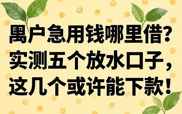 黑户急用钱哪里借？实测五个放水口子，这几个或许能下款！