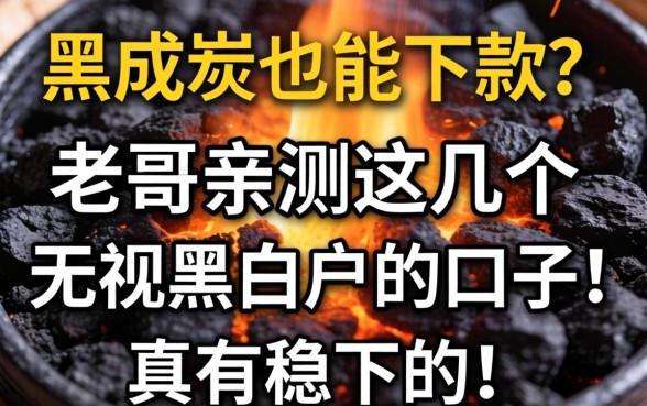 征信黑成炭也能下款？老哥亲测这几个无视黑白户的口子，真有稳下的！