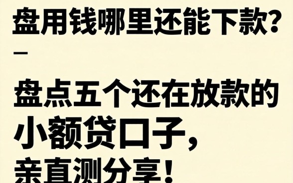 急用钱哪里还能下款？盘点五个还在放款的小额贷口子，亲测分享！