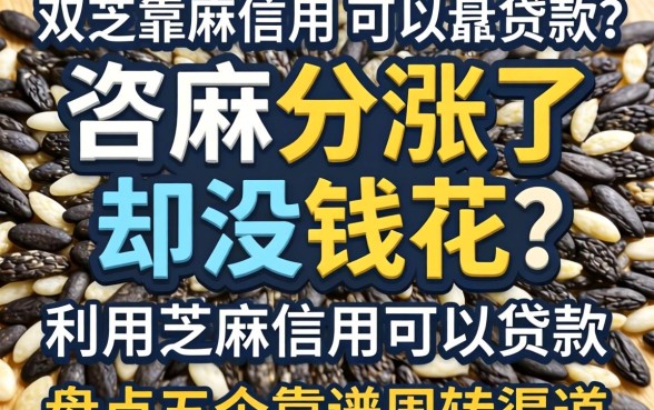 芝麻分涨了却没钱花?利用芝麻信用可以贷款吗?盘点五个靠谱周转渠道