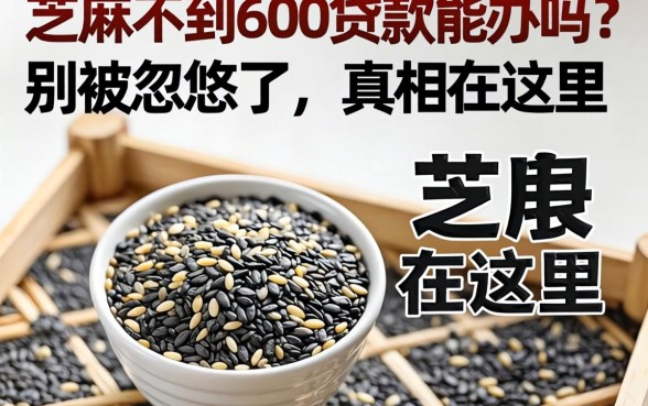 芝麻不到600贷款能办吗？别被忽悠了，真相在这里