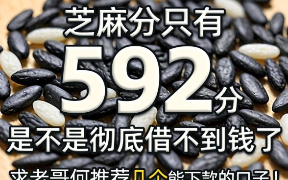 芝麻分只有592分，是不是彻底借不到钱了？求老哥们推荐几个能下款的口子！