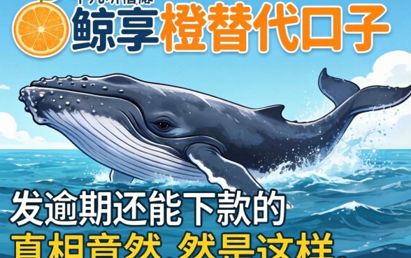 我试了十几个所谓的鲸享橙替代口子，发现逾期还能下款的真相竟然是这样