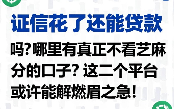 征信花了还能贷款吗?哪里有真正不看芝麻分的口子?这几个平台或许能解燃眉之急!