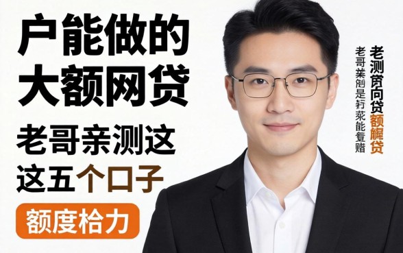 纯白户能做的大额网贷有哪些，老哥亲测这五个口子额度给力