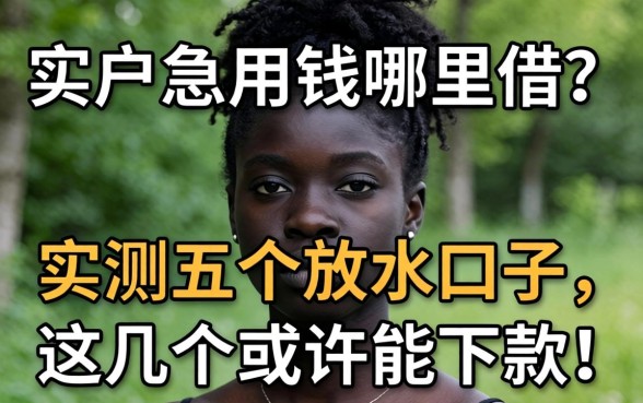 黑户急用钱哪里借？实测五个放水口子，这几个或许能下款！