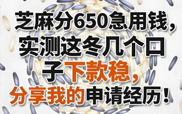 芝麻分650急用钱，实测这几个口子下款稳，分享我的申请经历！