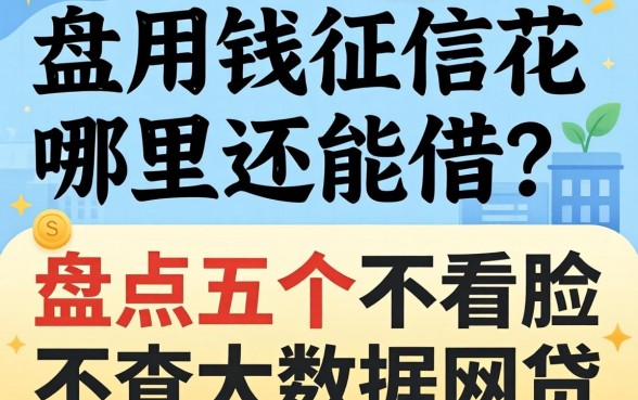急用钱征信花哪里还能借？盘点五个不看脸不查大数据的网贷口子